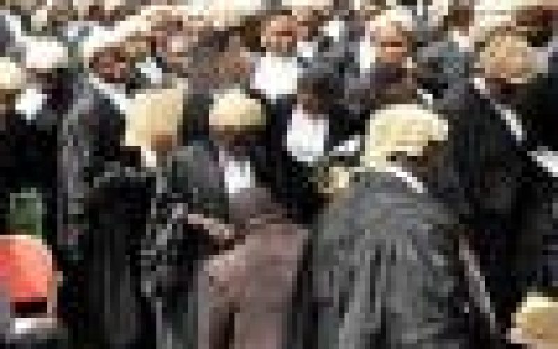 NMLA advocates training of young maritime lawyers 