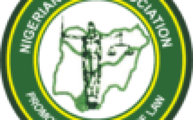 Judicial Autonomy: Governors must respect constitution  ― NBA