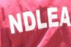 NDLEA raids eateries in Plateau, Enugu; recovers drugged cakes, cocaine