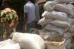 NDLEA arrests 89 suspected drug peddlers in Kaduna