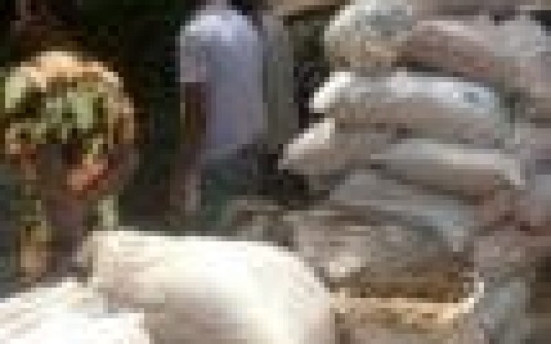 NDLEA arrests 89 suspected drug peddlers in Kaduna
