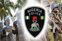‘Police is not Nigeria’s problem’