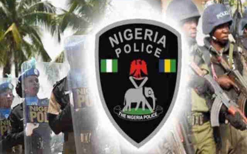 ‘Police is not Nigeria’s problem’