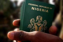 Nigeria’s visa policy worth emulation in Africa, says Tanzanian envoy