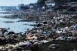 NSML’s Clean Water Initiative, a rescue mission to save aquatic life
