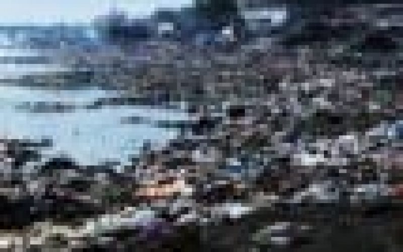 NSML’s Clean Water Initiative, a rescue mission to save aquatic life