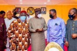 IPOB threat: Ohaneze asks Lagos govt to ignore rumoured attacks