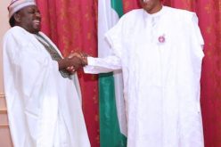 They should let us breathe, says Femi Adesina