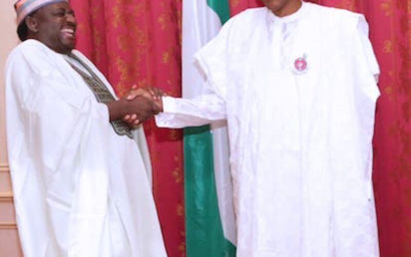 They should let us breathe, says Femi Adesina
