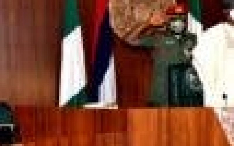 Security meeting reconvenes at Presidential Villa
