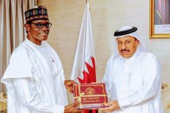 Qatar Govt pledges support to Yobe in infrastructural development