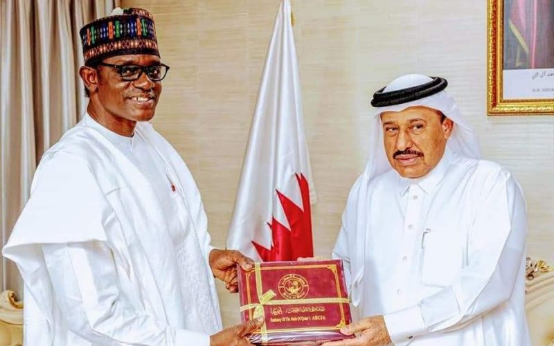 Qatar Govt pledges support to Yobe in infrastructural development