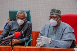 CNPP bemoans poor performance of National Assembly leadership