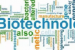 Biotechnology solution to ‘Agricultural challenges — Kyetere