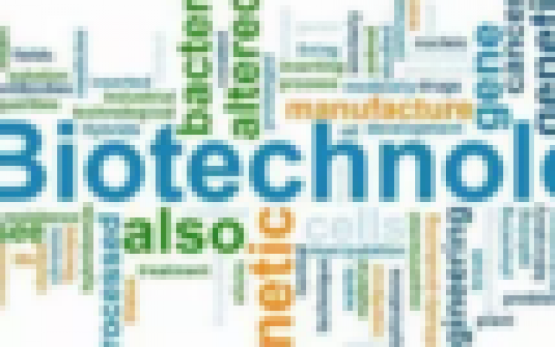Biotechnology solution to ‘Agricultural challenges — Kyetere