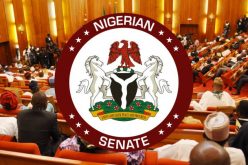 Insecurity: Senate in close session with Security Chiefs, others