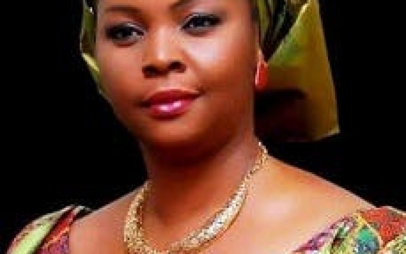 I was removed for questioning NPA operations — Garba