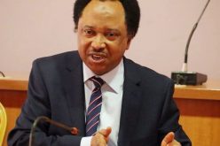 Shehu Sani calls for adequate security to check kidnapping in schools