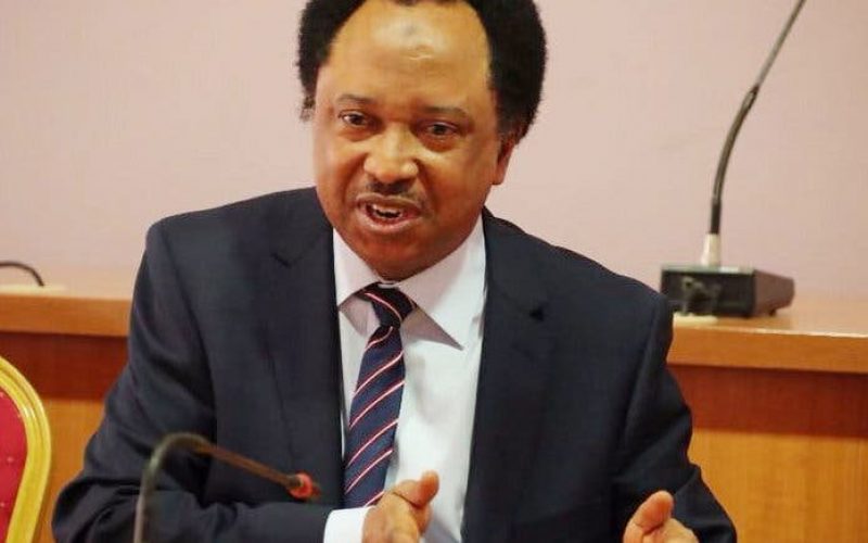 Shehu Sani calls for adequate security to check kidnapping in schools