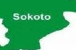 Sokoto records 426 GBV cases, as stakeholders decry delay in prosecution