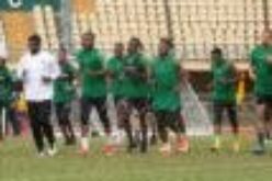 SUPER EAGLES: Musa, Ekong, 29 others for Cameroon friendly