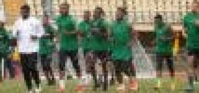 SUPER EAGLES: Musa, Ekong, 29 others for Cameroon friendly