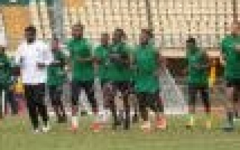 SUPER EAGLES: Musa, Ekong, 29 others for Cameroon friendly