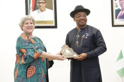 Gov Emmanuel seeks synergy with US on project implementation