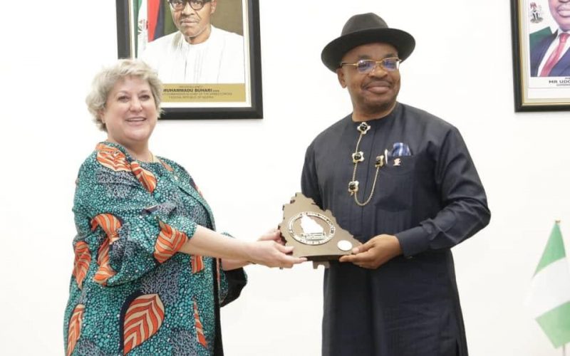 Gov Emmanuel seeks synergy with US on project implementation