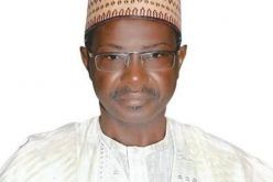 Insecurity: Why we need mercenaries — Lawmaker