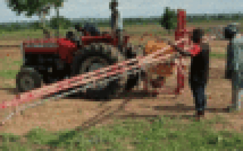 NDE boosts job creation through sustainable youths agric  devt training