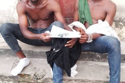UNICAL security apprehends suspected cultists with hard drugs on campus