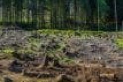 World Earth Day: Nigeria ‘ll soon run out of natural resources due to pollution, deforestation— Activists
