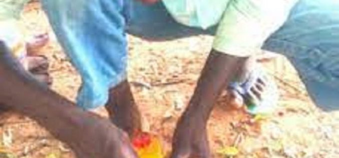 I realise N45, 000 monthly, says local nail cutter