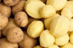 Food Security: FG moves to build capacity of Irish-potato farmers in Cross River