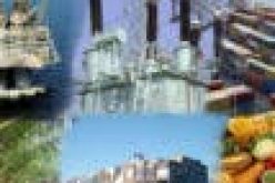Commodities and Futures Trading as survival Option