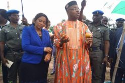 Akwa Ibom set to commence tomato paste production