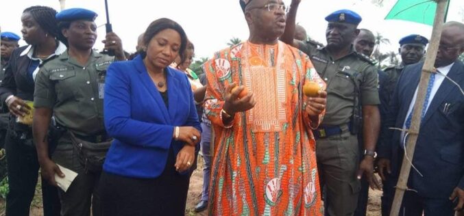 Akwa Ibom set to commence tomato paste production