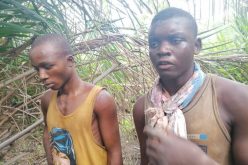 Gana’s gang members lead Police to mass grave in Katsina-Ala