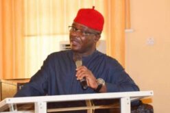 Fight Insecurity as you fought Covid-19, Ihejirika tasks Govt