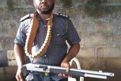 Another alleged attacker of Owerri prision arrested
