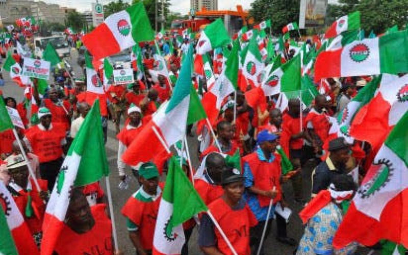 Labour rejects plans by FG to slash salaries
