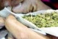 House of Reps set to legalise use of Indian hemp for economic benefits — Spokesperson