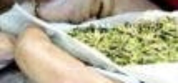 House of Reps set to legalise use of Indian hemp for economic benefits — Spokesperson