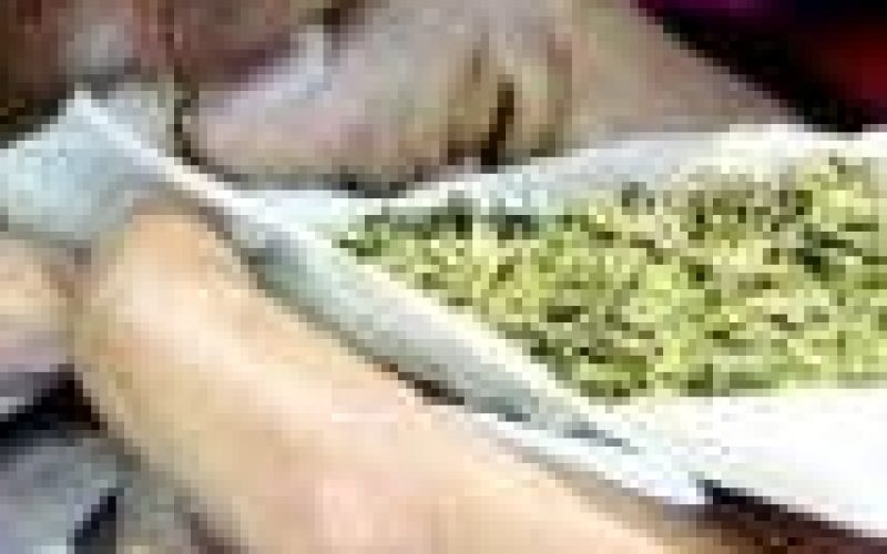 House of Reps set to legalise the use of Indian hemp for economic benefits — Spokesperson