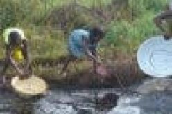 Ogoni demands reviews in oil, gas sector to improve community development