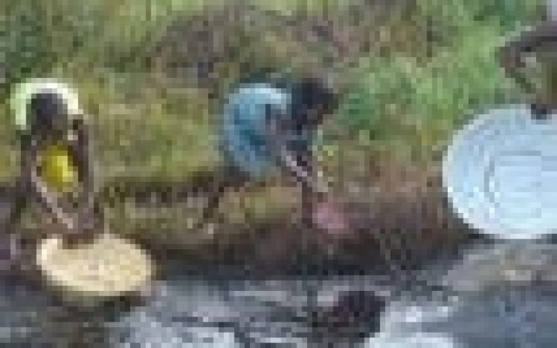 Ogoni demands reviews in oil, gas sector to improve community development