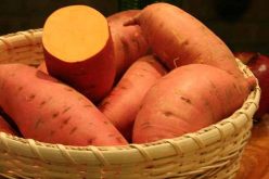 FG charges stakeholders on solution to low adoption, utilization of Orange Flesh Sweet Potato