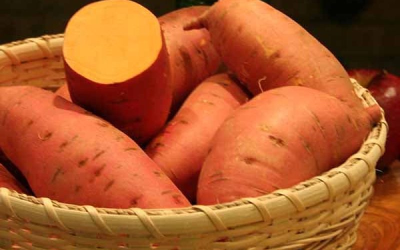 FG charges stakeholders on solution to low adoption, utilization of Orange Flesh Sweet Potato