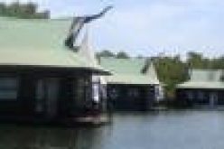 Minister opens expert meeting on mangrove restoration in the Niger Delta